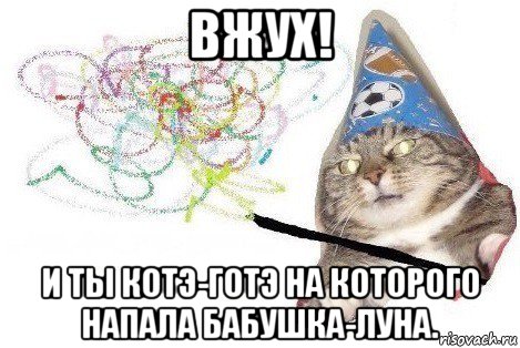 вжух! и ты котэ-готэ на которого напала бабушка-луна., Мем Вжух мем