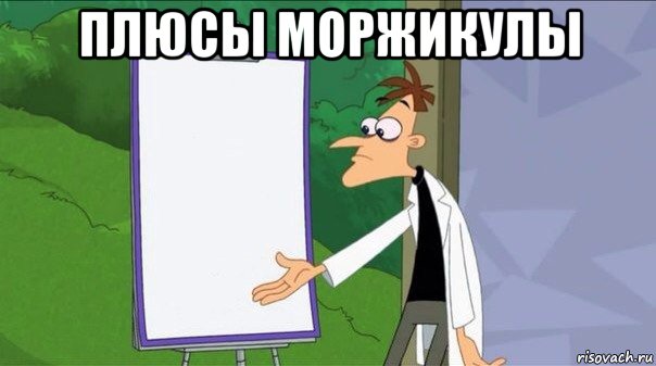 плюсы моржикулы 