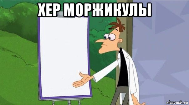 хер моржикулы 