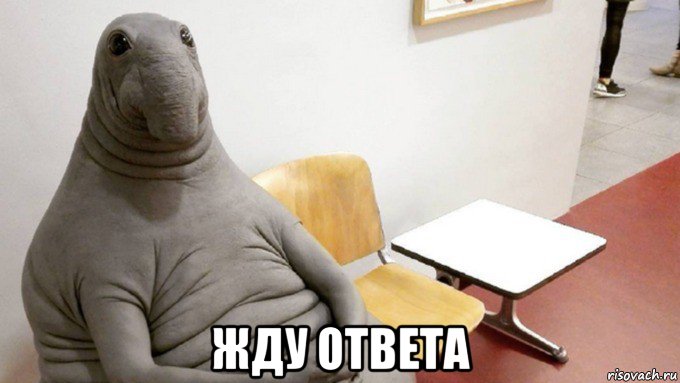  жду ответа