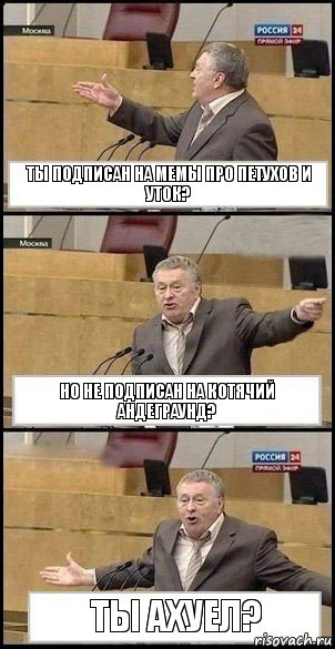 Ты подписан на мемы про петухов и уток? Но не подписан на Котячий андеграунд? Ты ахуел?, Комикс Жириновский разводит руками 3