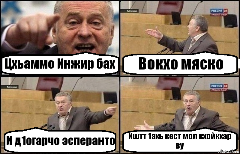 Цхьаммо Инжир бах Вокхо мяско И д1огарчо эсперанто Иштт 1ахь кест мол кхойкхар ву, Комикс Жириновский