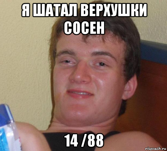 я шатал верхушки сосен 14 /88