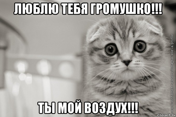 люблю тебя громушко!!! ты мой воздух!!!