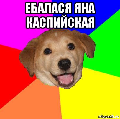 ебалася яна каспийская , Мем Advice Dog