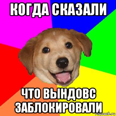 когда сказали что вындовс заблокировали, Мем Advice Dog