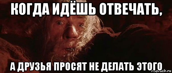 когда идёшь отвечать, а друзья просят не делать этого, Мем бегите глупцы