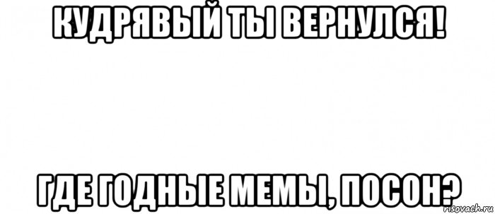 кудрявый ты вернулся! где годные мемы, посон?