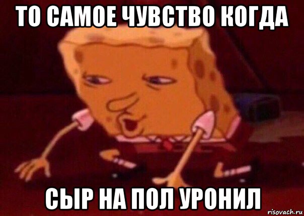 то самое чувство когда сыр на пол уронил, Мем    Bettingmemes