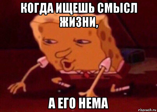 когда ищешь смысл жизни, а его нема, Мем    Bettingmemes