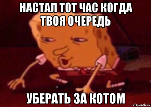 настал тот час когда твоя очередь уберать за котом, Мем    Bettingmemes