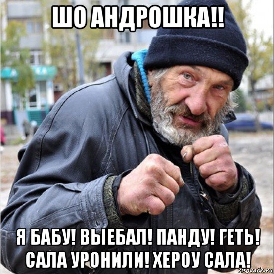 шо андрошка!! я бабу! выебал! панду! геть! сала уронили! хероу сала!, Мем Бомж свиноматка