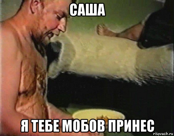 саша я тебе мобов принес