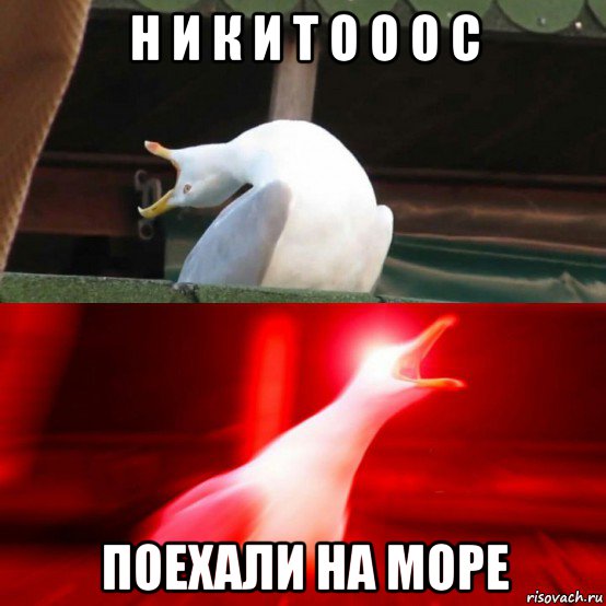 н и к и т о о о с поехали на море