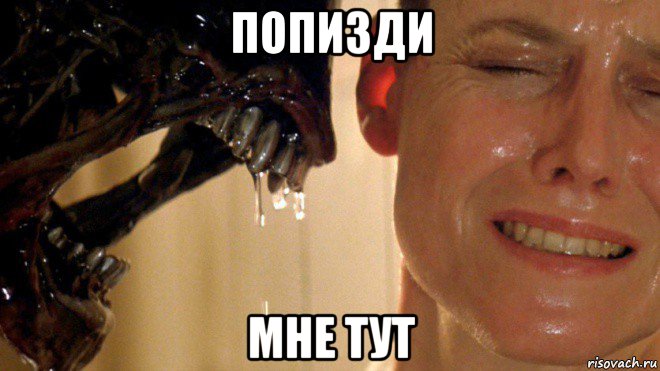 попизди мне тут
