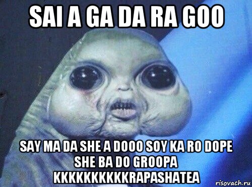 sai a ga da ra goo say ma da she a dooo soy ka ro dope she ba do groopa kkkkkkkkkkrapashatea, Мем ДАТЫЧО