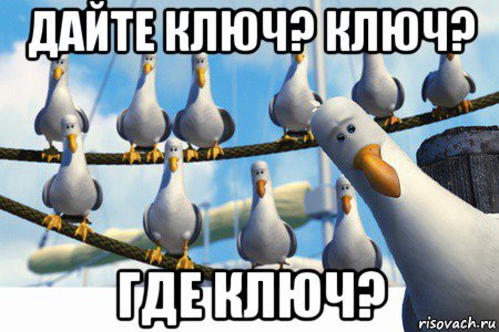дайте ключ? ключ? где ключ?, Мем Дай чайки немо