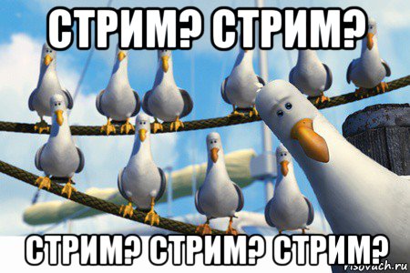 стрим? стрим? стрим? стрим? стрим?