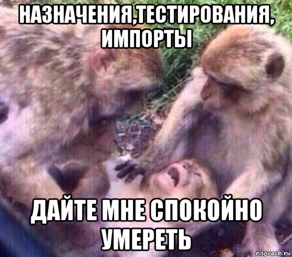 назначения,тестирования, импорты дайте мне спокойно умереть