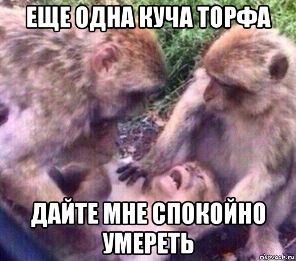 еще одна куча торфа дайте мне спокойно умереть