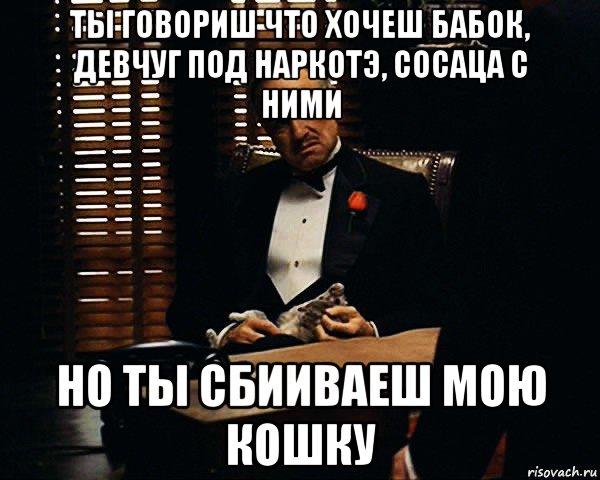 ты говориш что хочеш бабок, девчуг под наркотэ, сосаца с ними но ты сбииваеш мою кошку, Мем Дон Вито Корлеоне