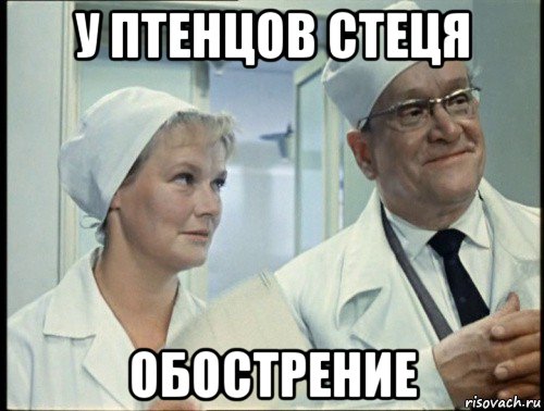 у птенцов стеця обострение