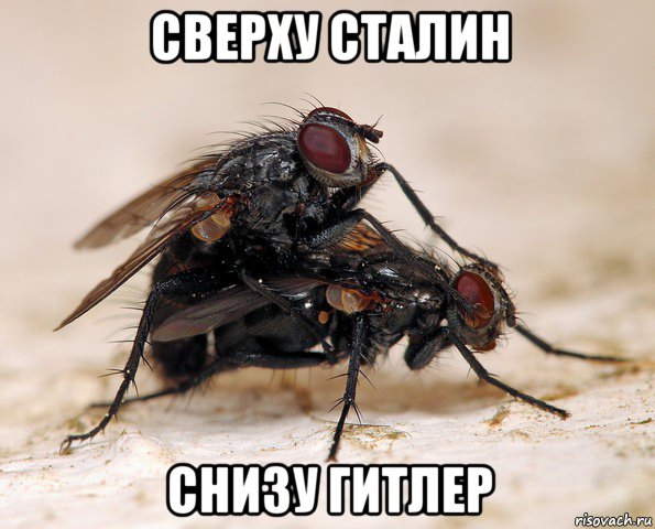Преподаватели подготовительного отделения