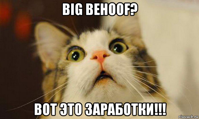 big behoof? вот это заработки!!!
