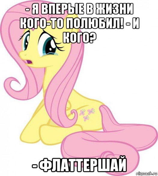 - я вперые в жизни кого-то полюбил! - и кого? - флаттершай