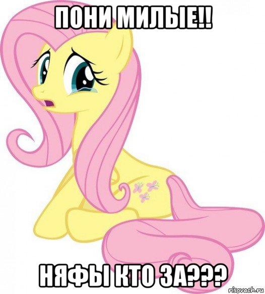 пони милые!! няфы кто за???