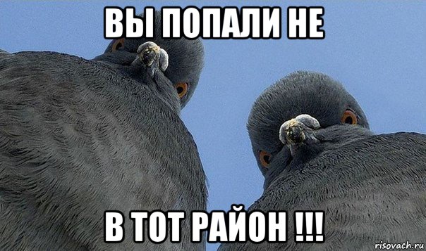 вы попали не в тот район !!!