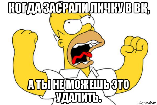 когда засрали личку в вк, а ты не можешь это удалить., Мем Разъяренный Гомер