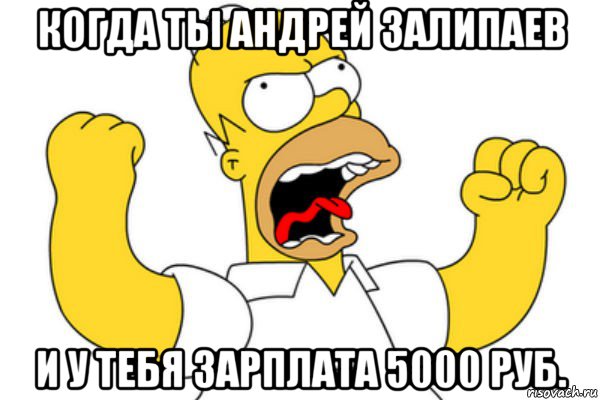 когда ты андрей залипаев и у тебя зарплата 5000 руб., Мем Разъяренный Гомер