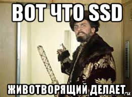 вот что ssd животворящий делает