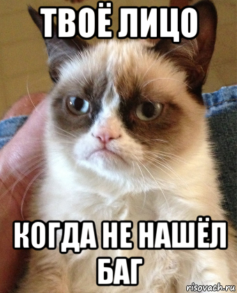 твоё лицо когда не нашёл баг, Мем Grumpy Cat small