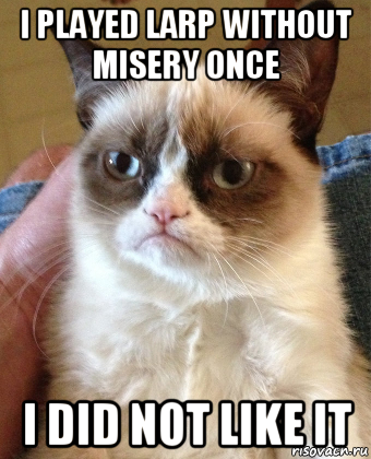 i played larp without misery once i did not like it, Мем Grumpy Cat small