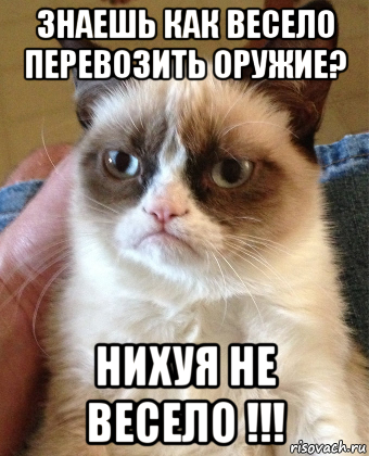 знаешь как весело перевозить оружие? нихуя не весело !!!, Мем Grumpy Cat small