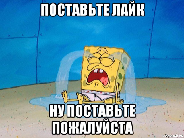 поставьте лайк ну поставьте пожалуйста, Мем Губка боб плачет