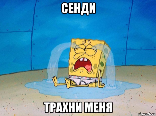 сенди трахни меня