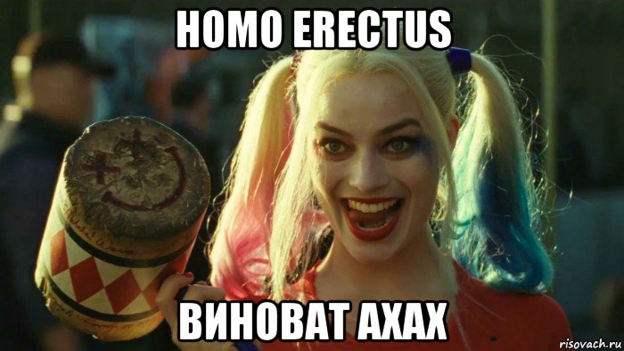 homo erectus виноват axax, Мем    Harley quinn