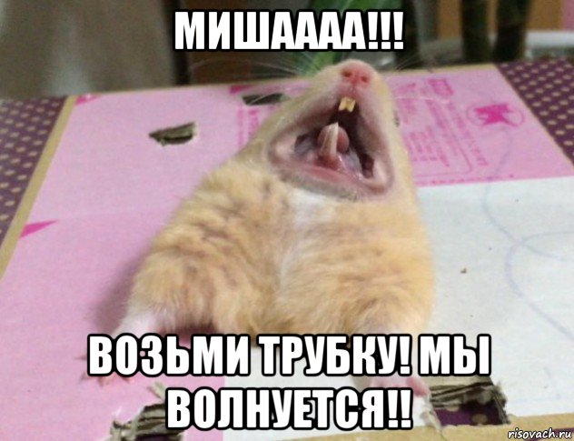 мишаааа!!! возьми трубку! мы волнуется!!