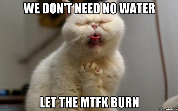 we don't need no water let the mtfk burn, Мем Искренний кот