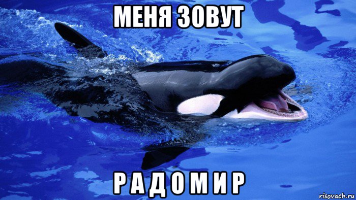 меня зовут р а д о м и р, Мем Касатка