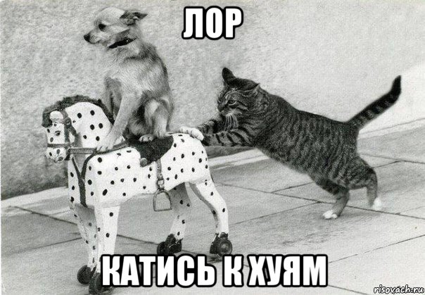 лор катись к хуям, Мем Катись к хуям