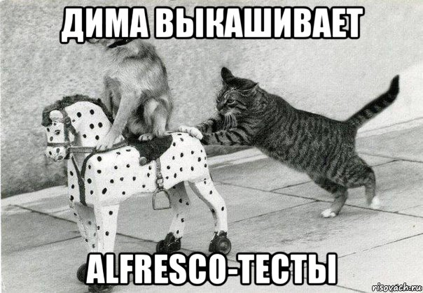 дима выкашивает alfresco-тесты, Мем Катись к хуям