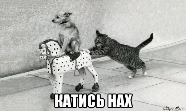  катись нах