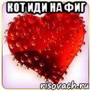 кот иди на фиг 