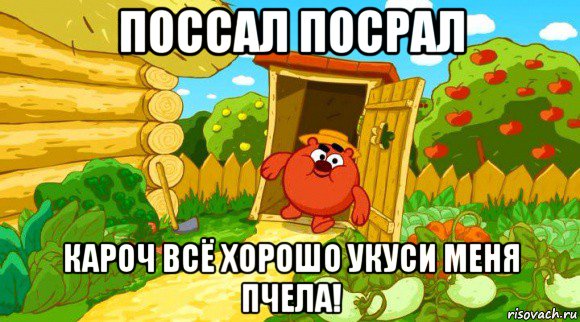 поссал посрал кароч всё хорошо укуси меня пчела!, Мем Копатыч выходит из туалета