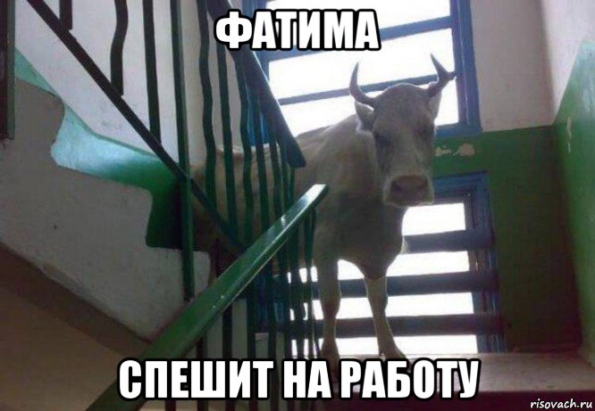фатима спешит на работу