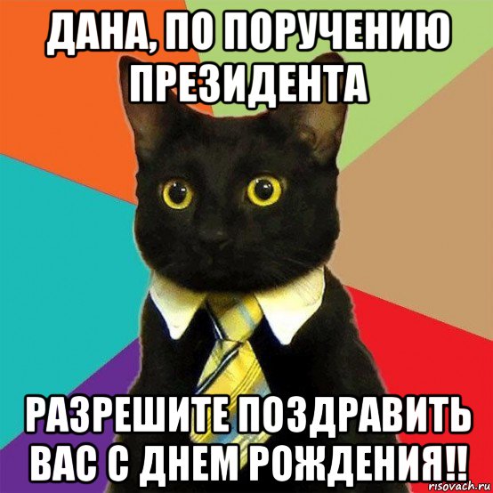 дана, по поручению президента разрешите поздравить вас с днем рождения!!, Мем  Кошечка